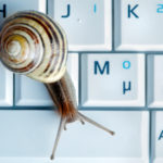 Close up of a snail on a laptop Close up of a snail on a laptop