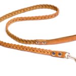Dog's leash