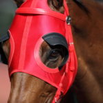 Productivity Blinders