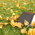 E-book reader