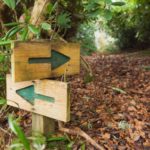 Which path